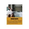 Shampoo Solido Jojoba Con Karite Anticaida Fortalecimiento