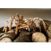 Wood Trick Mechanical Spider 3D Wooden Puzzle - Runs up