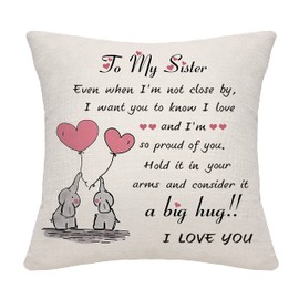 Sister Gifts from Sister Brother Cushion Cover Throw Pillow Cover Cushion Case Sister Birthday Gifts Thanksgiving Gifts (sister-2)