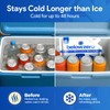 Below Zero Ice Packs - You Fill Medium 10x9x0.75 Inch