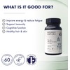 Higher Nature - Vitality Multivitamin for Men - True Food
