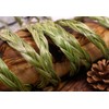 Saint Terra - Sweetgrass Braid Smudge, 24 to 30 Inches