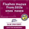 Little Remedies Little Remedies Saline Spray/Drops | for Noses to
