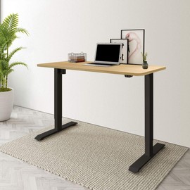 FLEXISPOT Essential Standing Desk Electric Small Desk Height Adjustable Desk Sit Stand Desk Home Office Table (40x24 Black+Maple)