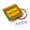 BELFORT® Acoustic Guitar Strings 012/053 - Premium Phosphor Bronze (6