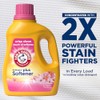 ARM & HAMMER Plus a Touch of Softener, 77 Loads,