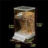Automatic Bird Feeder,No Mess Bird Feeder,Premium Clear Plastic Bird Feeder