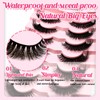 BTLLSSH False Eyelashes Wispy Lashes Natural Look Fake Eyelashes Cat