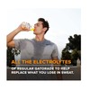 Gatorade Thirst Quencher Zero Sugar Sports Drink, Grape, 12oz Bottles,