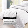 LUVIVIHOME 2PCS Rustic Cabin Comforter Set Twin Size, Farmhouse Bedding,