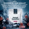 KIKI Green Shilajit Gummies 1000mg – Raspberry Flavor, 60 Individually