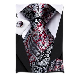 Hi-Tie Men's Solid Colour Tie Handkerchief Wedding Party Classic Tie & Pocket Square Set Multiple, red silver paisley