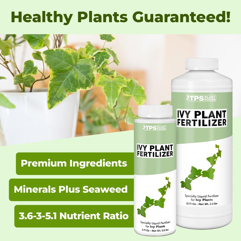 Ivy Plant Food, Complete Liquid Ivy and Vine Plant Ferilizer,