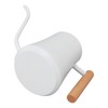 Stainless Steel Watering Can Pot Retro Small Plant Watering Can