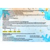 Medasa Bacteria Test Quick Test 4-6 Hours Water Test 5-in-1