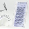 ANNAFRIS ComicElf, 0.07C, 9-13 Eyelash Extensions, Artificial Eyelash Clusters, Volume