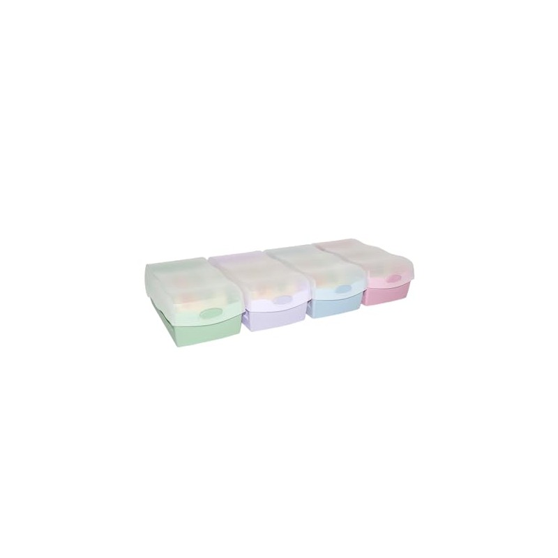 HAN Croco flashcard box, easy to learn vocabulary with 5-compartment