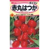 Tohoku Corporation Akamaru Hatsuka Radish 01151