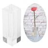 ZJchao Square Shaped Acrylic Rose Display Stand, Single Real Rose