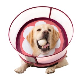 Inflatable Dog Cone Collar for Large Medium Small Dogs, Soft Dog Donut Collar Adjustable Recovery Cone for Pets After Surgery, Extra Enhanced Anti-Licking Guard Shield (Mangosteen, Medium Plus)