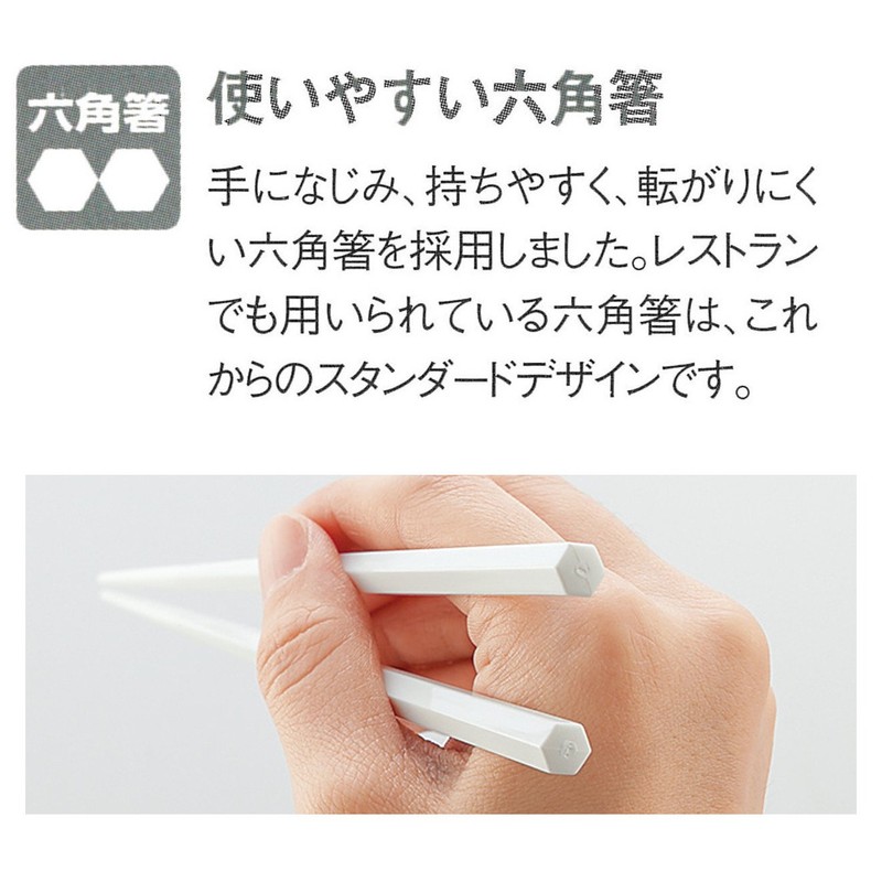 岩崎工業 抗菌 箸箱セット19.5CM H-581 W