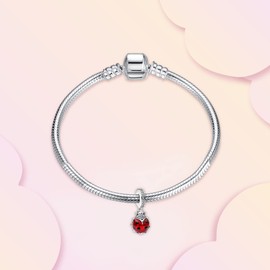 Annmors 925 Sterling Silver Charms fit Bracelets Necklaces Red Ladybird Dangle Beads with 5A Cubic Zirconia Christmas Valentine Mother's Day Gift Charms for Women