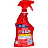 Resolve Carpet Spot & Stain Remover, 22 fl oz Bottle,