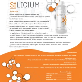 SiLicium Original - Monosilicic Acid Boosts Nutrient Uptake 100 ml by SiLicium