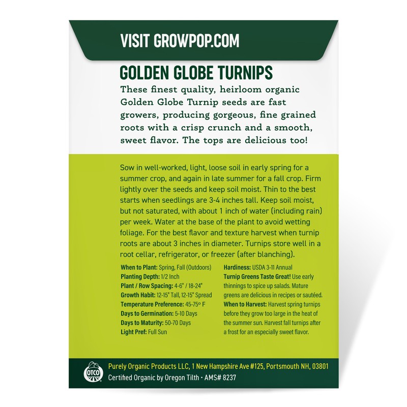Organic Turnip Seeds (Golden Globe) - Approx 500 Seeds -
