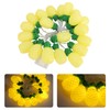 9.8ft 20LEDs Fruit String Lights Battery Operated String Lights for