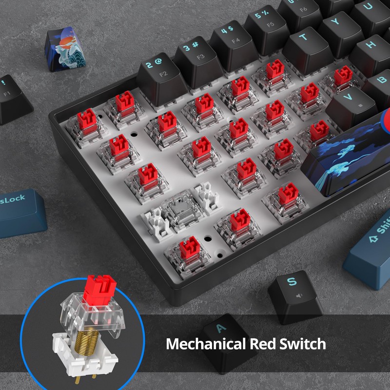 Ussixchare 60 Percent Gaming Keyboard 68 Keys Mechanical Keyboard Rainbow
