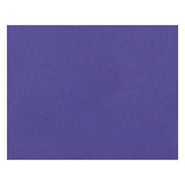 Pacon Peacock 4-Ply Poster Board (PAC54481)