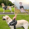 Service Dog Vest, DEWVIE Dog Harness and Leash Set with