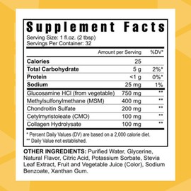 Youngevity Liquid GLUCO-Gel Majestic Earth- 32 FL OZ (Pack of 1)