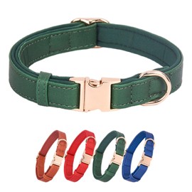 WDPAWS Dog Collar Leather Soft PU with Neoprene Inner Quick Release Gold Metal Buckle for Small Medium Large Dogs(M Green)