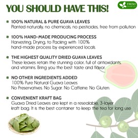 FreshDrinkUS, Premium 100+ Natural Guava Leaves, Whole Dried Leaves, 100% Pure from Guava Leaves, Natural Guava Loose Leaf Herbal Tea, No Additives, No Caffeine, Vegan