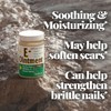 Basic Brands - Vitamin E Ointment - 2oz - Moisture