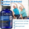 Balincer Glucosamine Chondroitin Turmeric,- Bones, Joint Support,Growth of Chondrocytes