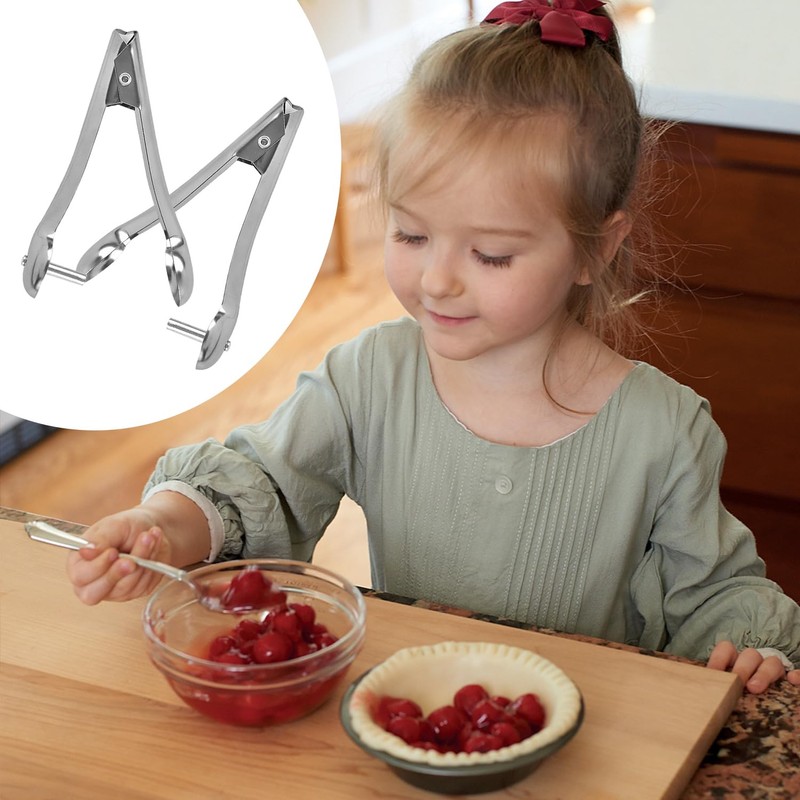 2PCS Cherry Pitter Tools, Portable Stainless Steel Cherry Pit Removal