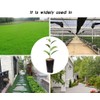 Frjjthchy 100 PCS Thicken Plastic Nursery Bags for Plants Fruit