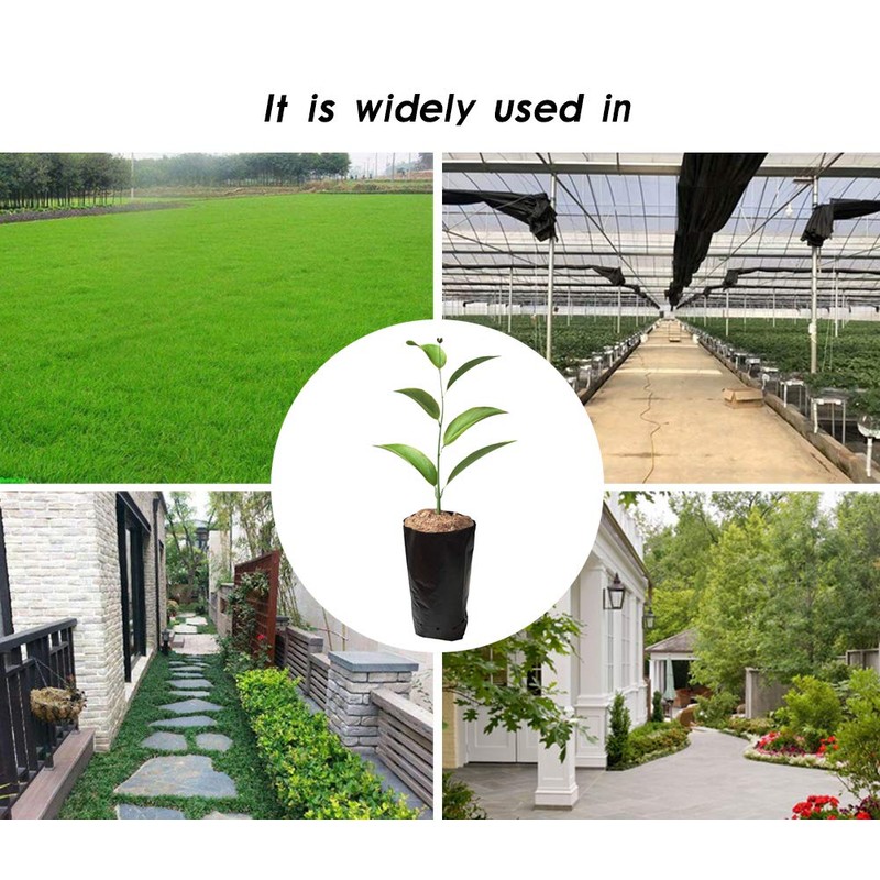 Frjjthchy 100 PCS Thicken Plastic Nursery Bags for Plants Fruit