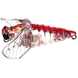 Smith LTD #26 Noisy Cicada, 0.1 oz (2.6 g), 1.5 inches (38 mm)