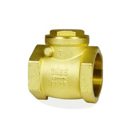 MYWERO 2 1/2" Swing Brass Check Valve DN65, One Way Oil Water Fuel Gas Air Check Valve to Prevent Water Backflow for Sump Pump and Air Compressor