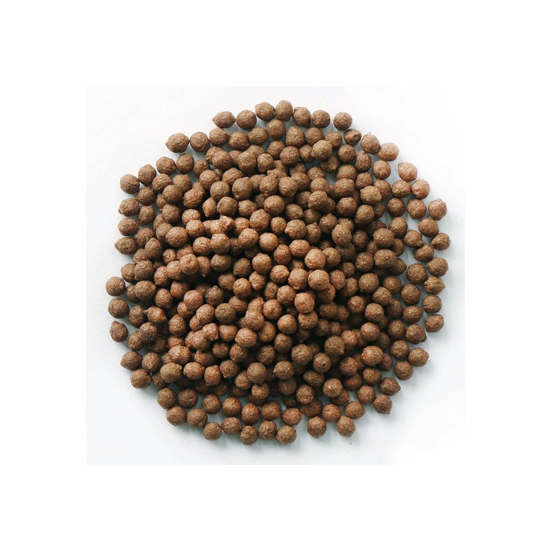 Donguihanjae Yeoju Jerusalem Artichoke Pills 200g / 동의한재 여주 돼지감자환