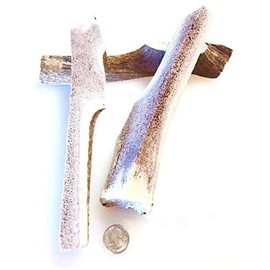 Mountain Dog Chews - X-Large Quartered Split Elk Antler 2 Pack - Elk Antler Dog Chew - Grade A Premium - Organic - Made in USA - No Mess