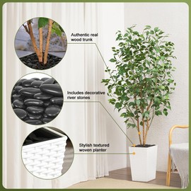 VeriNatural Artificial Olive Tree 6ft, Tall Fake Tree for Indoor & Outdoor Decor with Black Pot & Pebbles, UV Resistant Silk Leaves, Realistic Faux Potted Plant for Living Room,Office,Home Decor,VN137