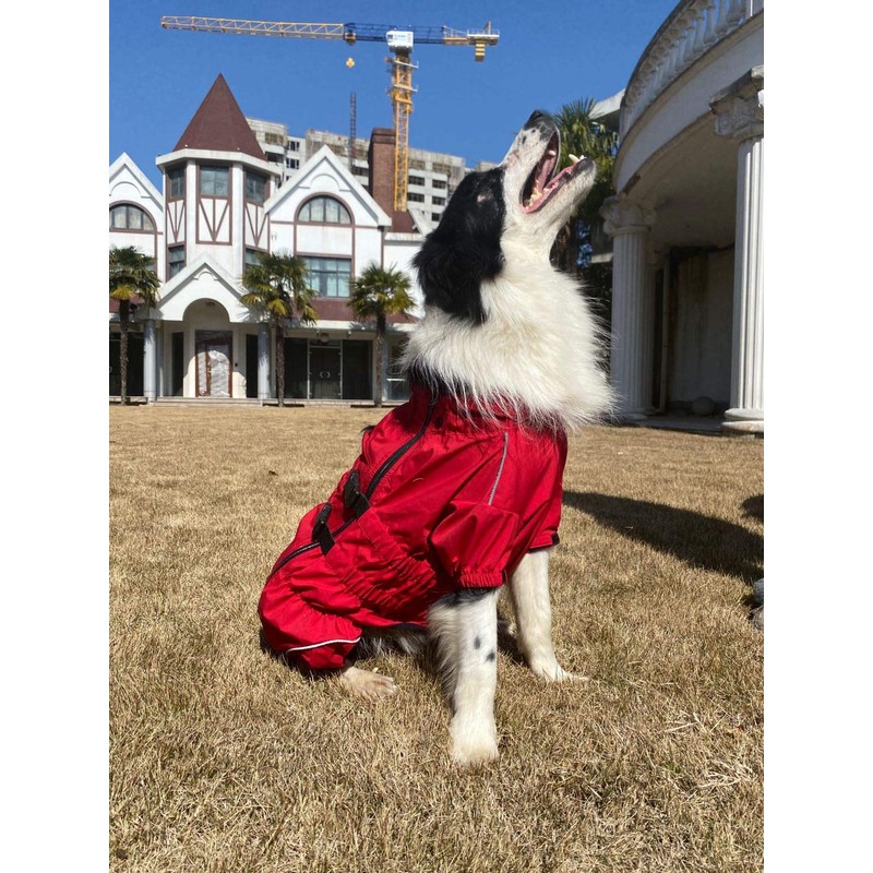Dogs Waterproof Jacket, Lightweight Waterproof Jacket Reflective Safety Dog Raincoat
