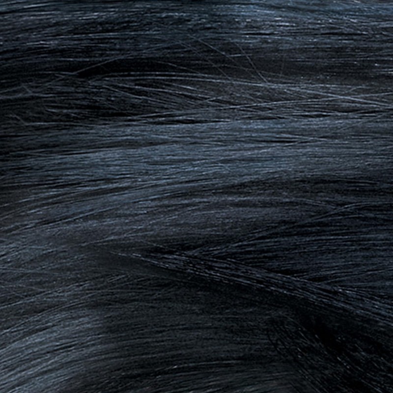 COLORSILK # 12 NAT BLUE BLACK