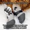 Dog Socks, Set of 4 Boots for Injured Paws, Waterproof