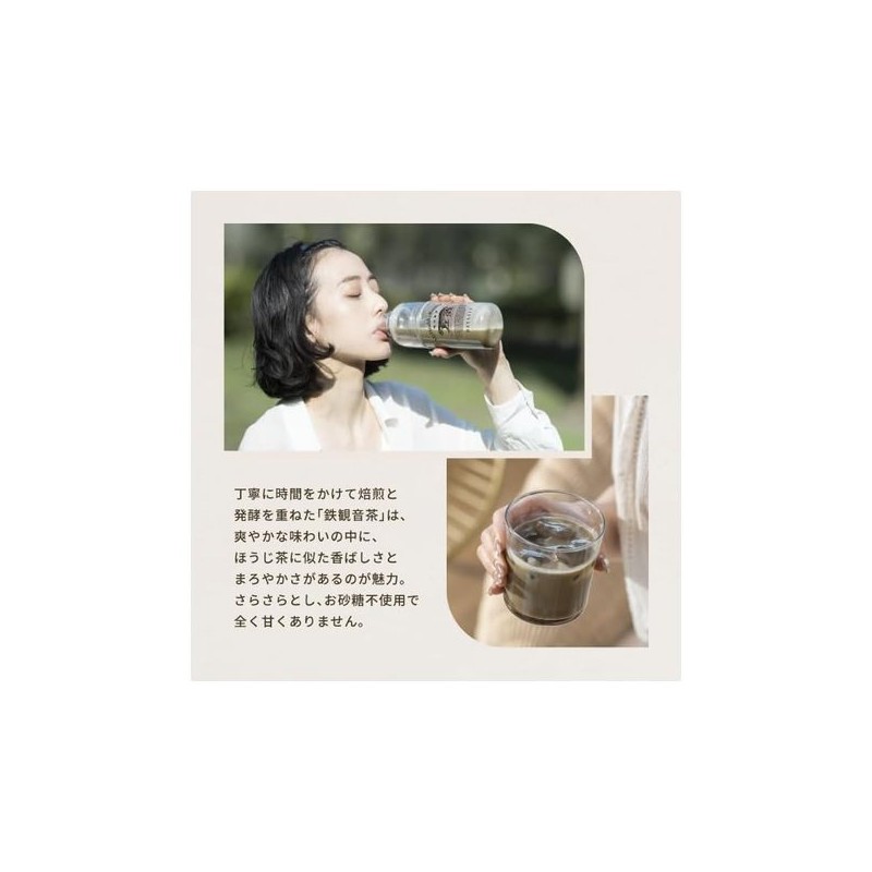 DAYLILY 데일리리 대만차 프로틴 무가당 한방 재료 WPC 유청 철관음차